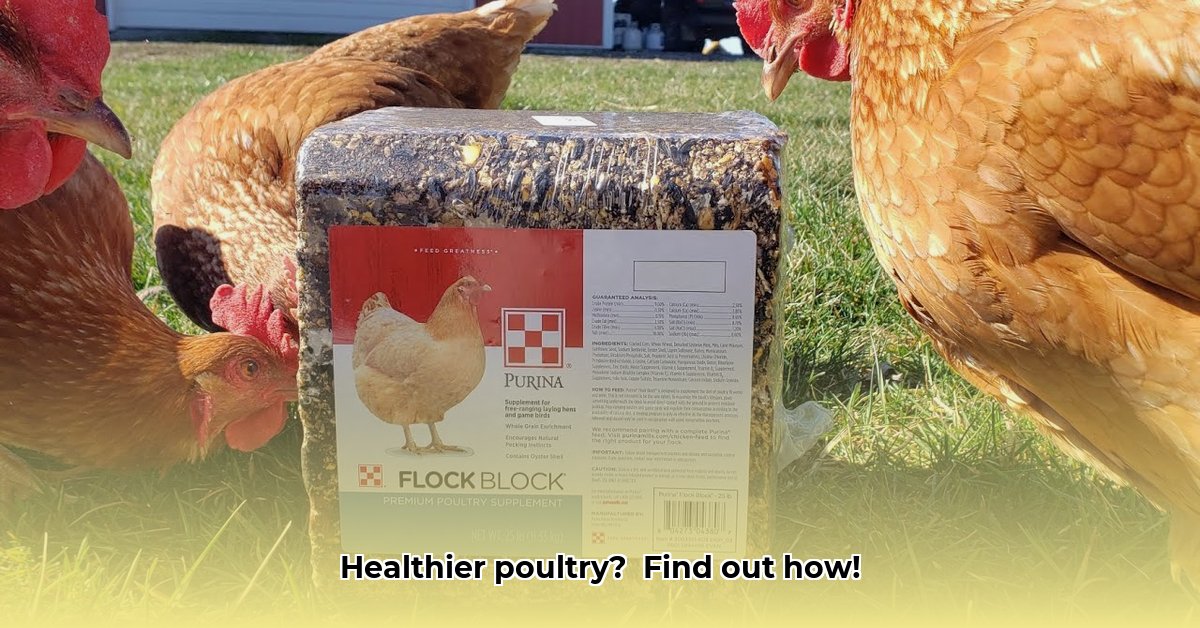 flock-block-tractor-supply
